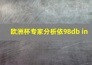 欧洲杯专家分析依98db in